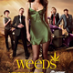 Illustration for article titled What to expect from Weeds: Richard Dreyfuss, mafia goons, and Mary-Louise Parker wearing next to nothing